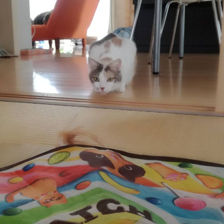 04be5fbb 6bfe 4e2b a79b 08384fa4be06 1542161745489