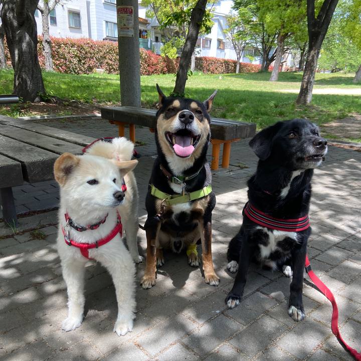 04be6724 e075 4c66 92f1 cd7a05d9eac7 1682295519600