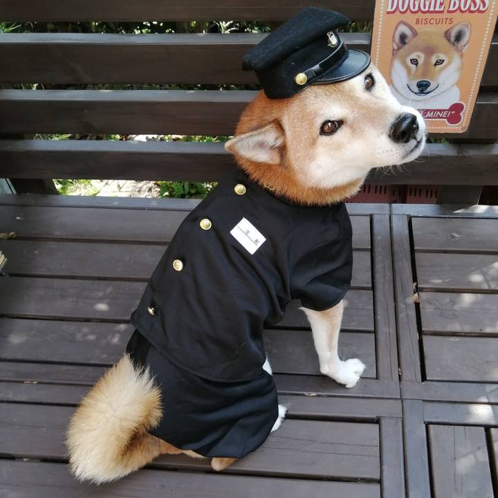 04be7907 86ce 4b73 80d2 fb1003cf6dd7 1694703987808