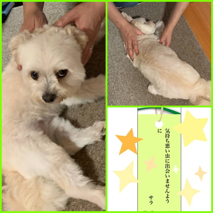 04be7971 9401 4839 b0bc a2cfb80b604f 1594101017678