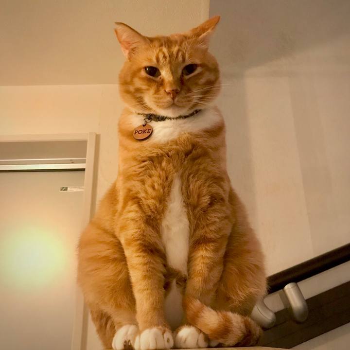 04beacb1 7cd9 482e b562 8e1d185acb25 1665667813853