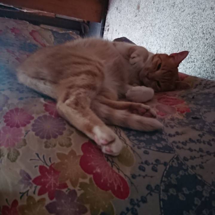 04bf37b0 6749 4593 81e9 730652268e28 1594514450220