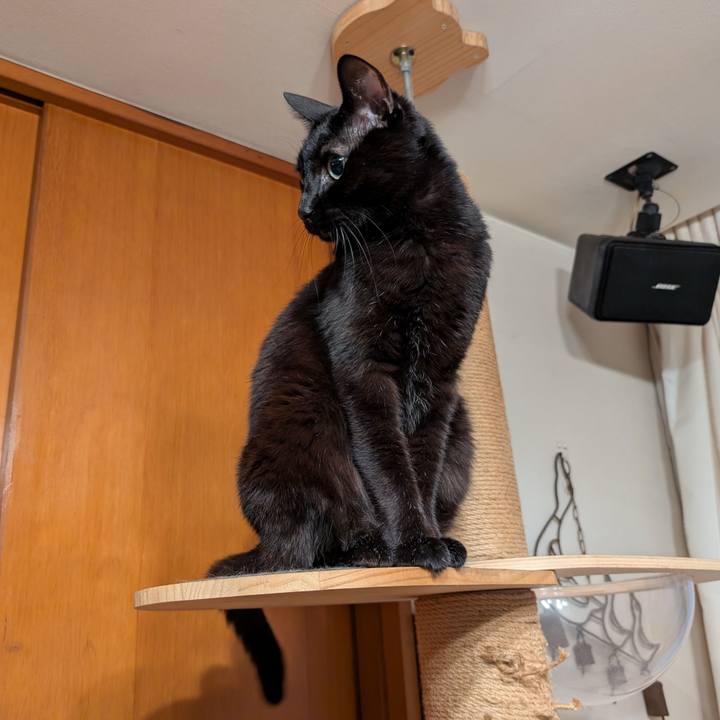 04bf41df 0c51 48e4 b32c 65370458ea2d 1767740157396