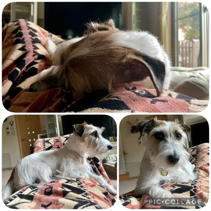 04bf9279 3939 43ee 895f f583ee8ec538 1637567672232