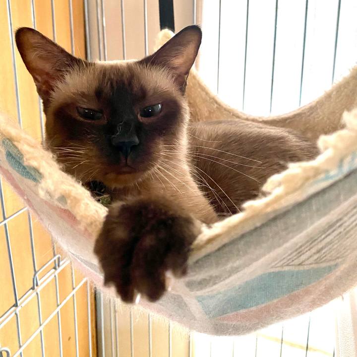 04bfaa1e 23d1 42b2 a392 2b5379ca98cb 1756438160978