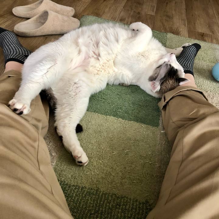 04bfafc3 f665 40cc afb4 30262063962b 1618987586202