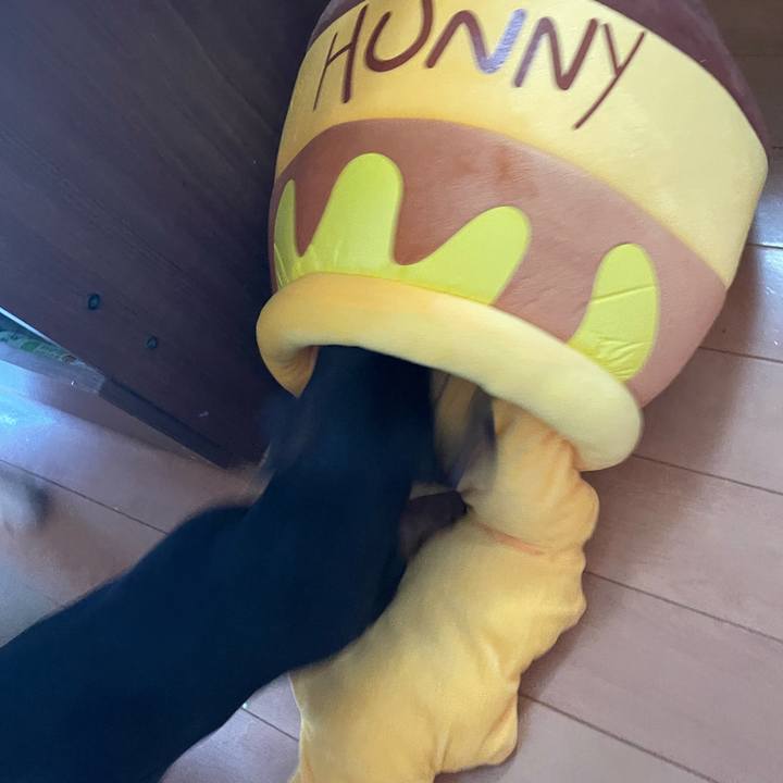 04bfb168 2005 438a b22b d52e342f5dda 1682065684163