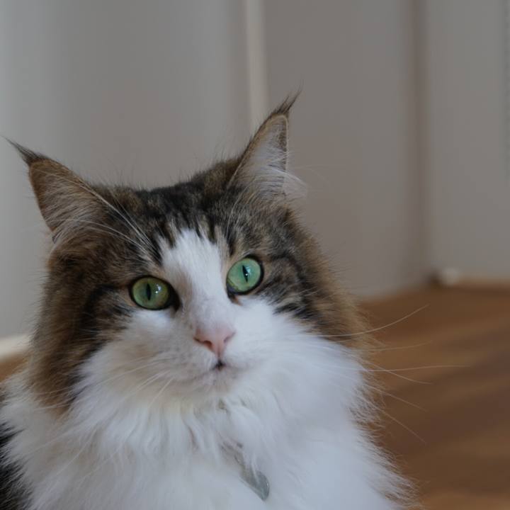 04bfe6c8 1bcd 4e27 8ef0 b833381d7958 1547826258639