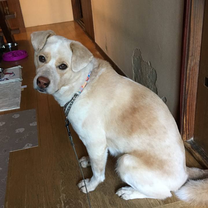 04bffcc2 1ce0 4db6 9846 37b2b699e3de 1516764115858