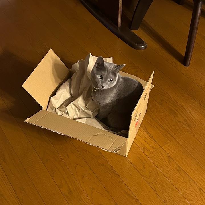 04c02481 f5e2 4485 bd49 9d070e257178 1707441710817