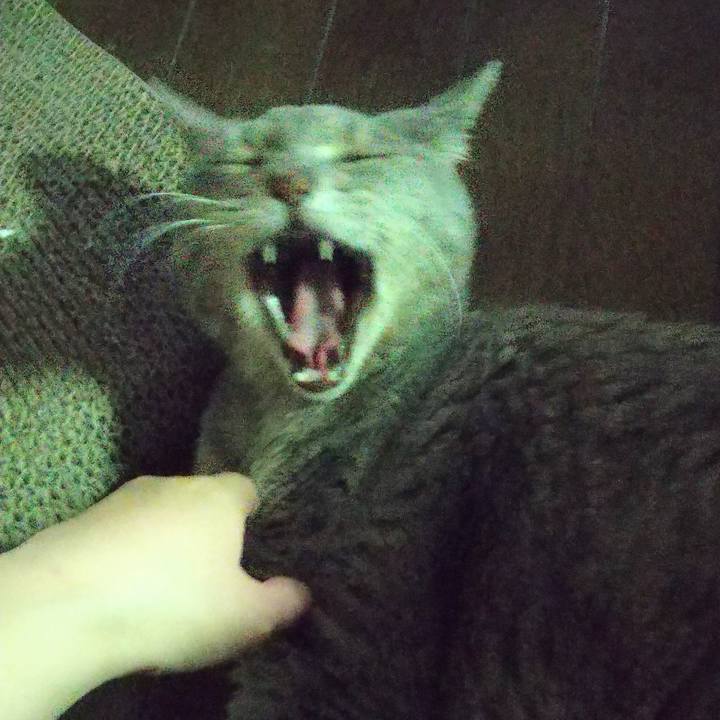 04c0391f 723f 4263 bf9f ccea8029d8ca 1659538844691