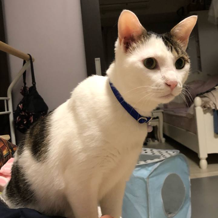 04c05771 5c55 4273 85de 2c7dea4b7188 1634263324901