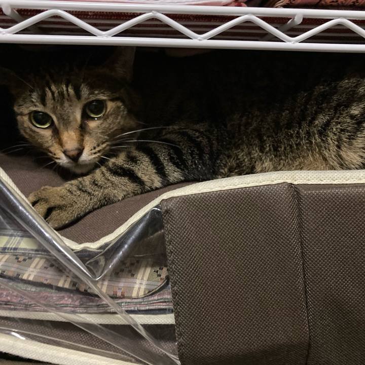 04c07aae 808a 4840 a987 59aebcecb876 1634949233258