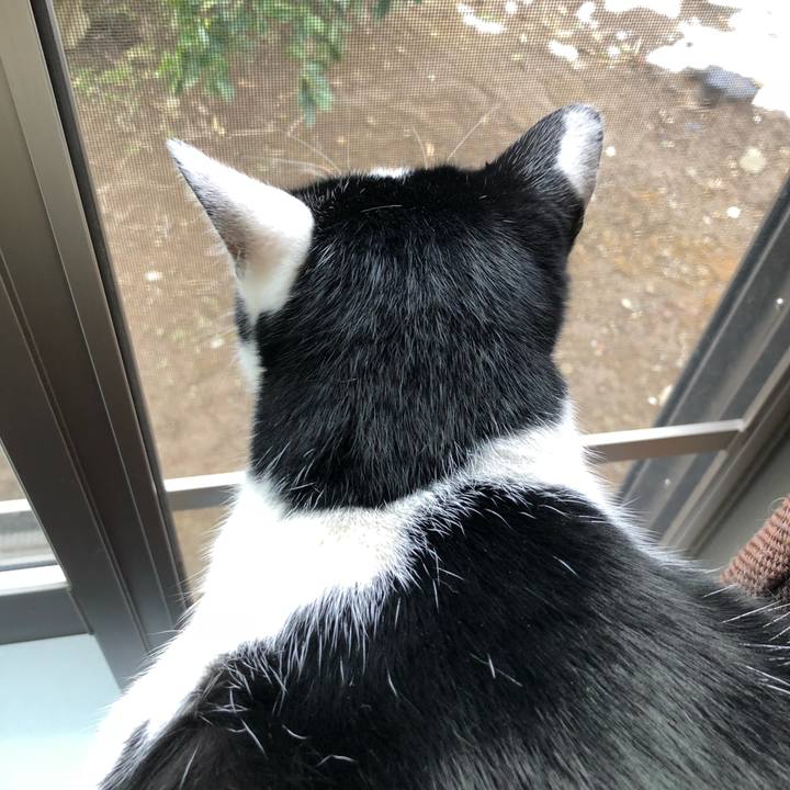 04c08902 20aa 482b 900f 9388cf5cead7 1549859047264