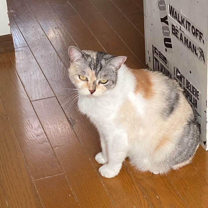 04c0caf4 5eb6 4f9c 8f49 a0ef6a8a2f22 1600399518043