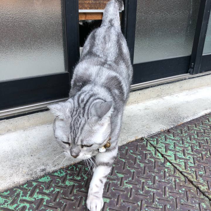 04c0dad2 4f86 414c b9f4 bfa851613b66 1600705234216