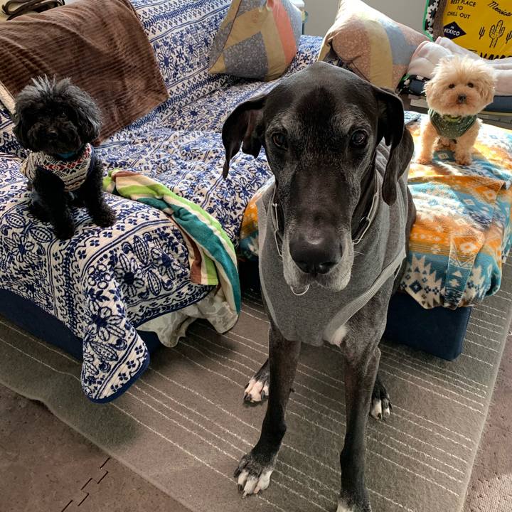 04c1e305 2534 4b2a bb0e caca4a4a1e80 1584053113341