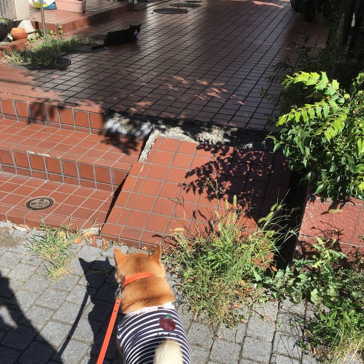 04c1ef1e 843e 439e 8e8b 0b79419ce55f 1613217438694