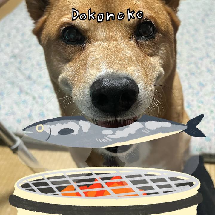 04c20374 8df5 44a4 a415 3e004f19ba53 1761309431774