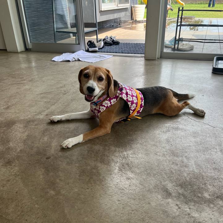 04c25a7a 9320 481d af20 7dbe6f7e50a7 1757936752186