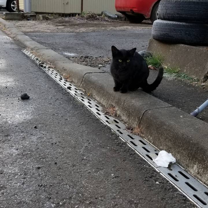 04c2cc64 48dd 4b59 867a ceb37ce48950 1575467551784