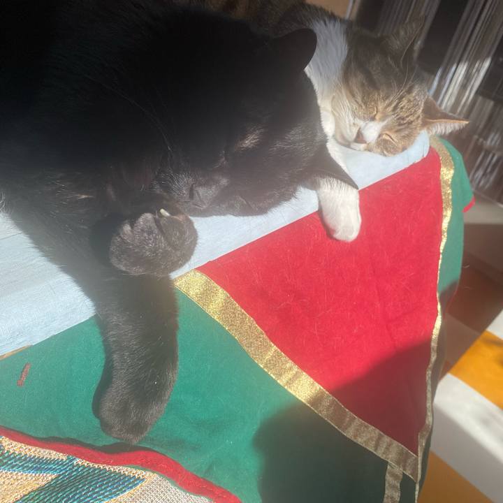 04c2cd5d 1b35 4623 a309 61f87ff03c78 1703300123977