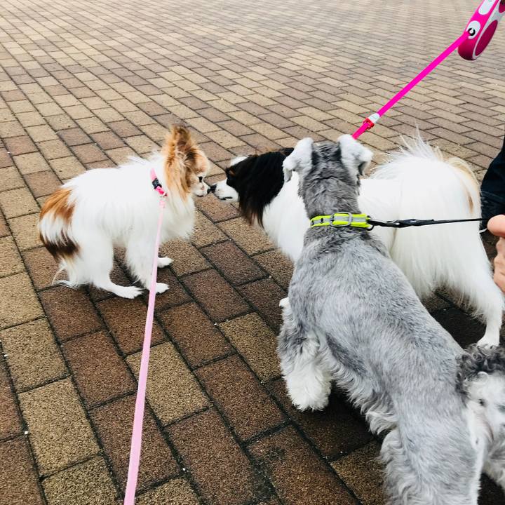 04c2ea36 e450 40b5 9eba 060259f20c50 1539654781614