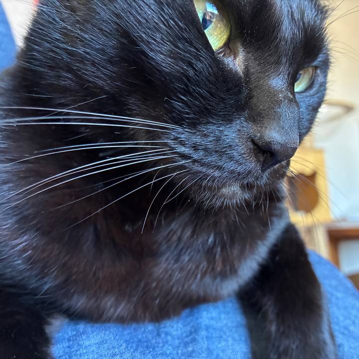 04c30241 91dd 4581 8626 9db9dce57d93 1759536602595