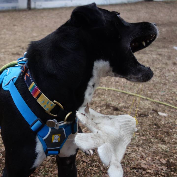 04c30fb7 13cc 4262 be9e 89014b2f4809 1612138063989