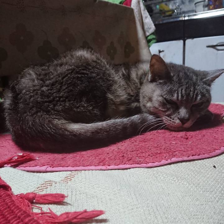 04c319e5 313e 44ac a65e d0b771668497 1567108142901