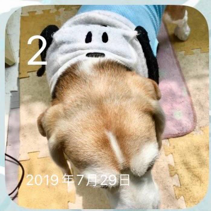 04c36617 fb36 496f ba19 72873fb2e5f2 1722550374269