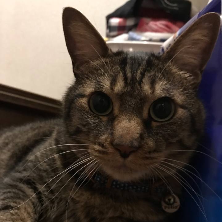 04c3717f 45c8 4a30 83d3 2eac273cfd67 1659787510316