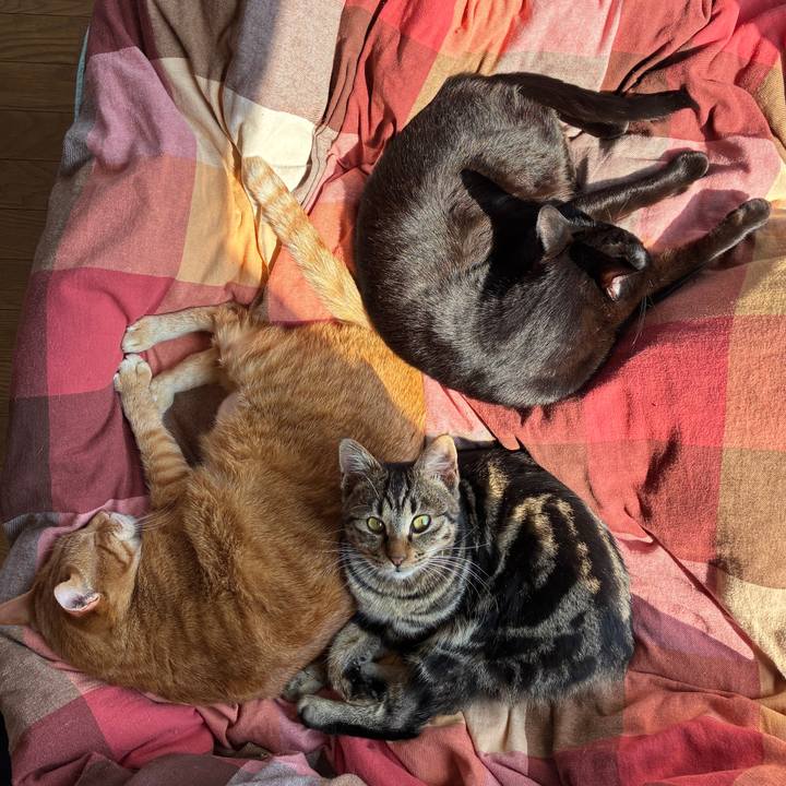 04c3e3aa 7d27 4e39 8834 fffffeb6e401 1743814438079