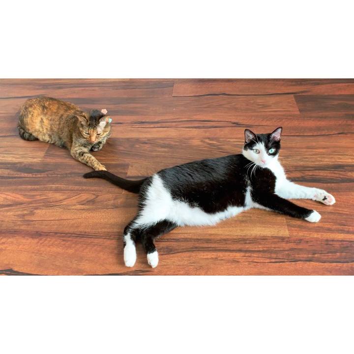 04c41ed9 925d 4b85 a6e9 08239f4af201 1565507851120