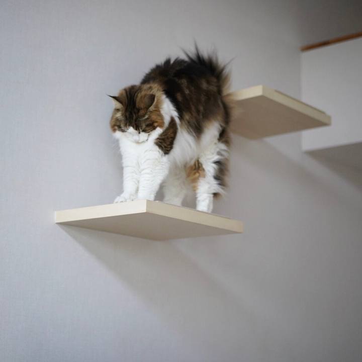 04c42ea1 a3e6 4aa8 a6fa 3999b8dcb120 1675818328787