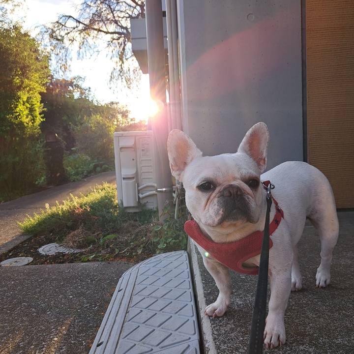 04c43d23 f20e 4742 9379 f4bcc619c970 1697841093395