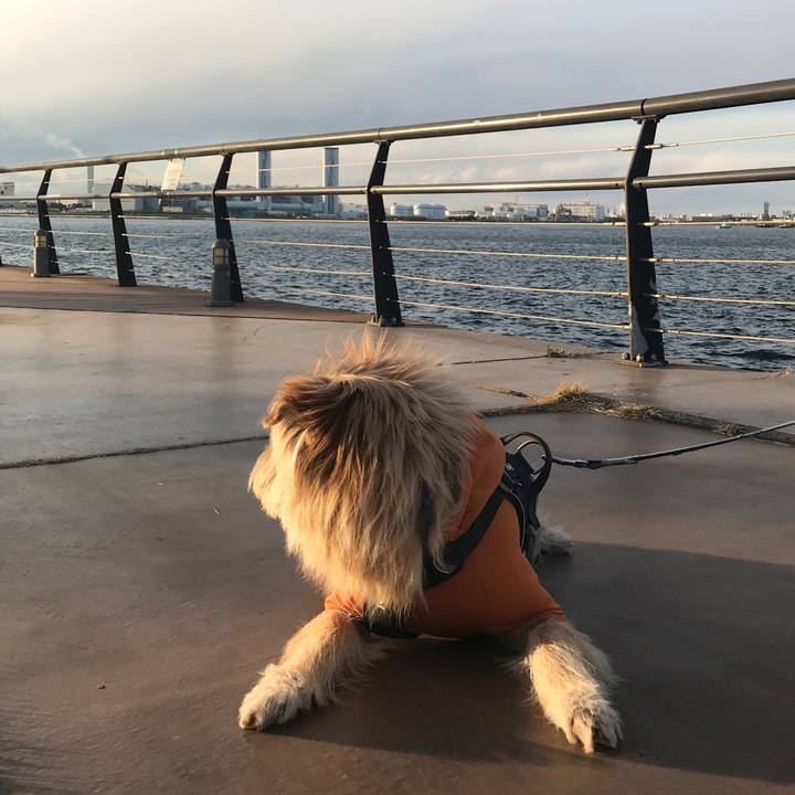 04c45647 1bf1 47db 8407 12c1026adfe4 1644193438900