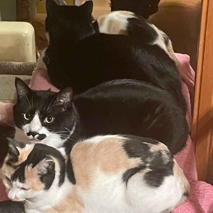 04c45a83 0ea5 4e09 b334 f7a26aa4c8e0 1710554037189