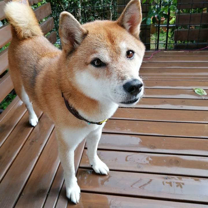 04c464bc b66a 4399 96ec d926f7d83816 1663566719481