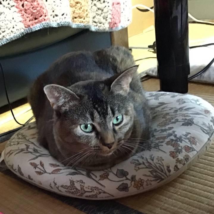 04c470bb fc85 4f52 8262 f924c97ec763 1722506339658