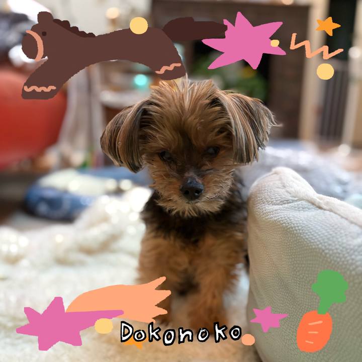 04c480e3 0af9 4e44 a62a a6db3114bf38 1771839128240