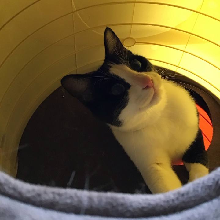 04c4ae58 469d 46e6 81ed ed534de137b6 1683014373519