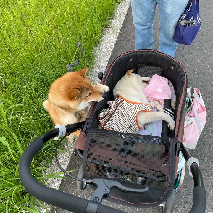 04c4af96 f00a 4754 b29c e1f10bcf01e3 1657581767418