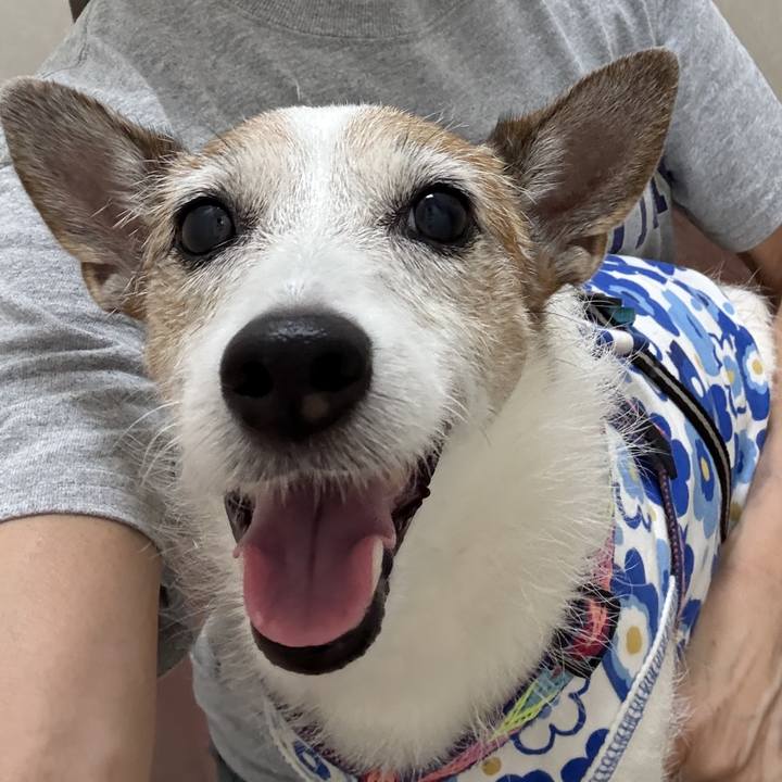 04c4c982 83bf 4ee9 84f8 49db5ad7f8fd 1754785764945