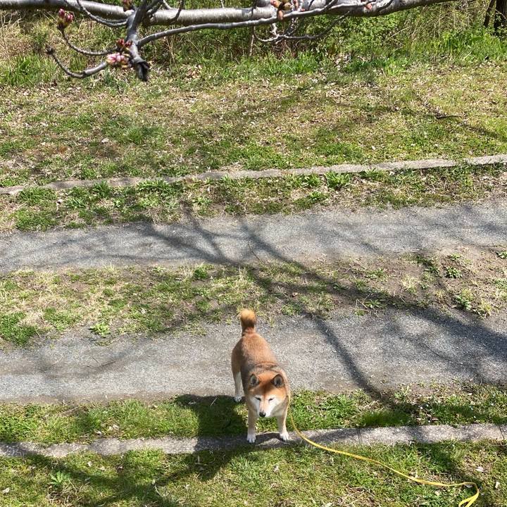 04c4e142 ae7c 4f8b ba5c 312ae8b595c6 1648184317327