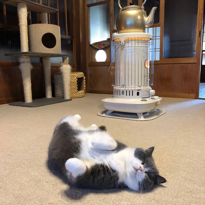 04c50b16 be25 450c af68 ca84028b8d92 1608447962471