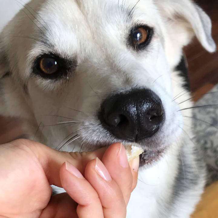 04c50ff6 20c7 4221 a036 5ebe0ab0aad3 1523156349781