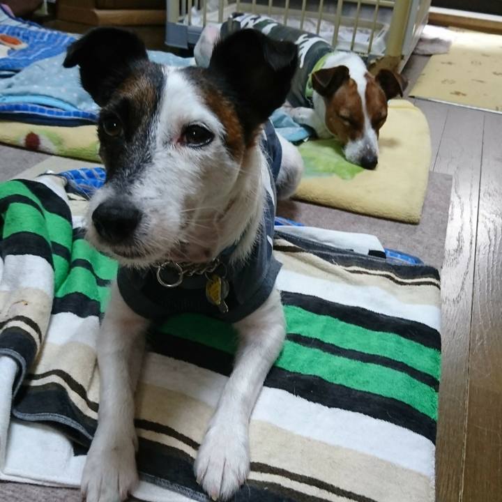 04c526a8 d51e 4fe0 9911 cc02f85e585a 1566772998980