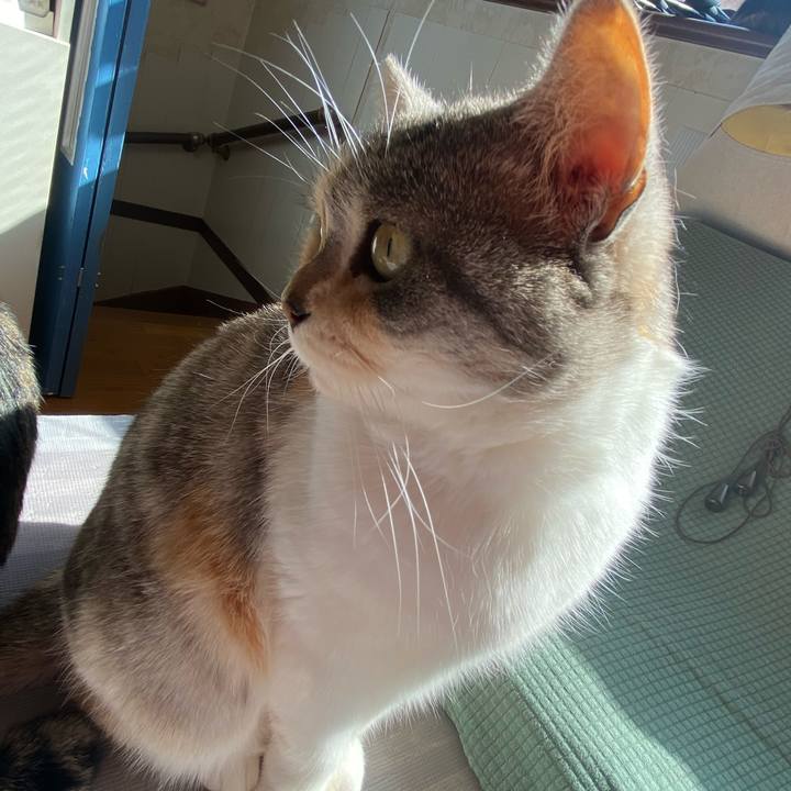 04c576a4 8f2f 4e2c 825b 05ecde05314f 1613014796972