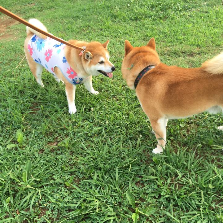 04c57a04 d321 405c ae0d 32a4048d4396 1566081363553